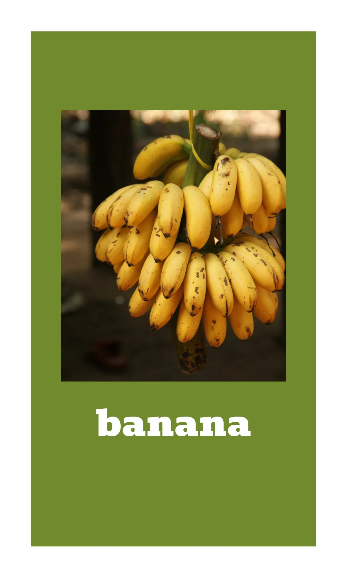 Free Fruit and Vegetable Alphabet Flashcards Template to Edit Online