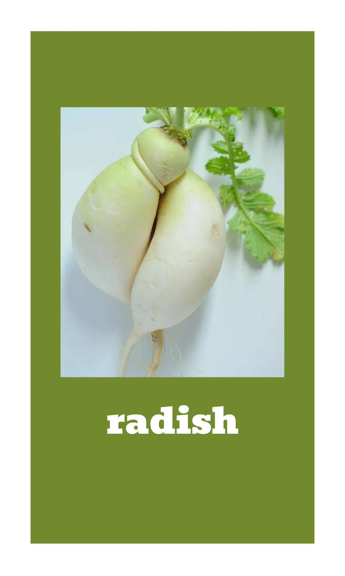 Free Fruit and Vegetable Alphabet Flashcards Template to Edit Online