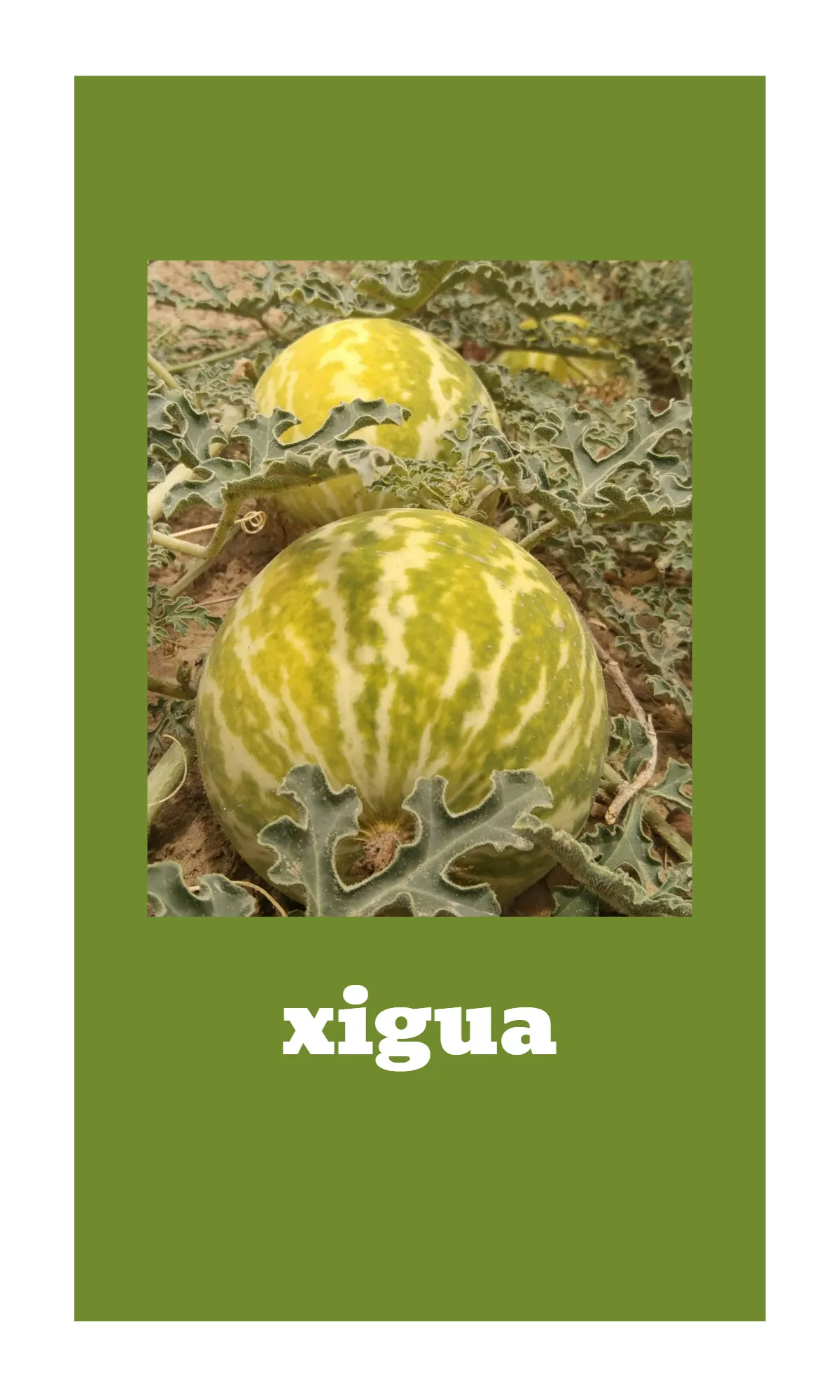 Free Fruit and Vegetable Alphabet Flashcards Template to Edit Online