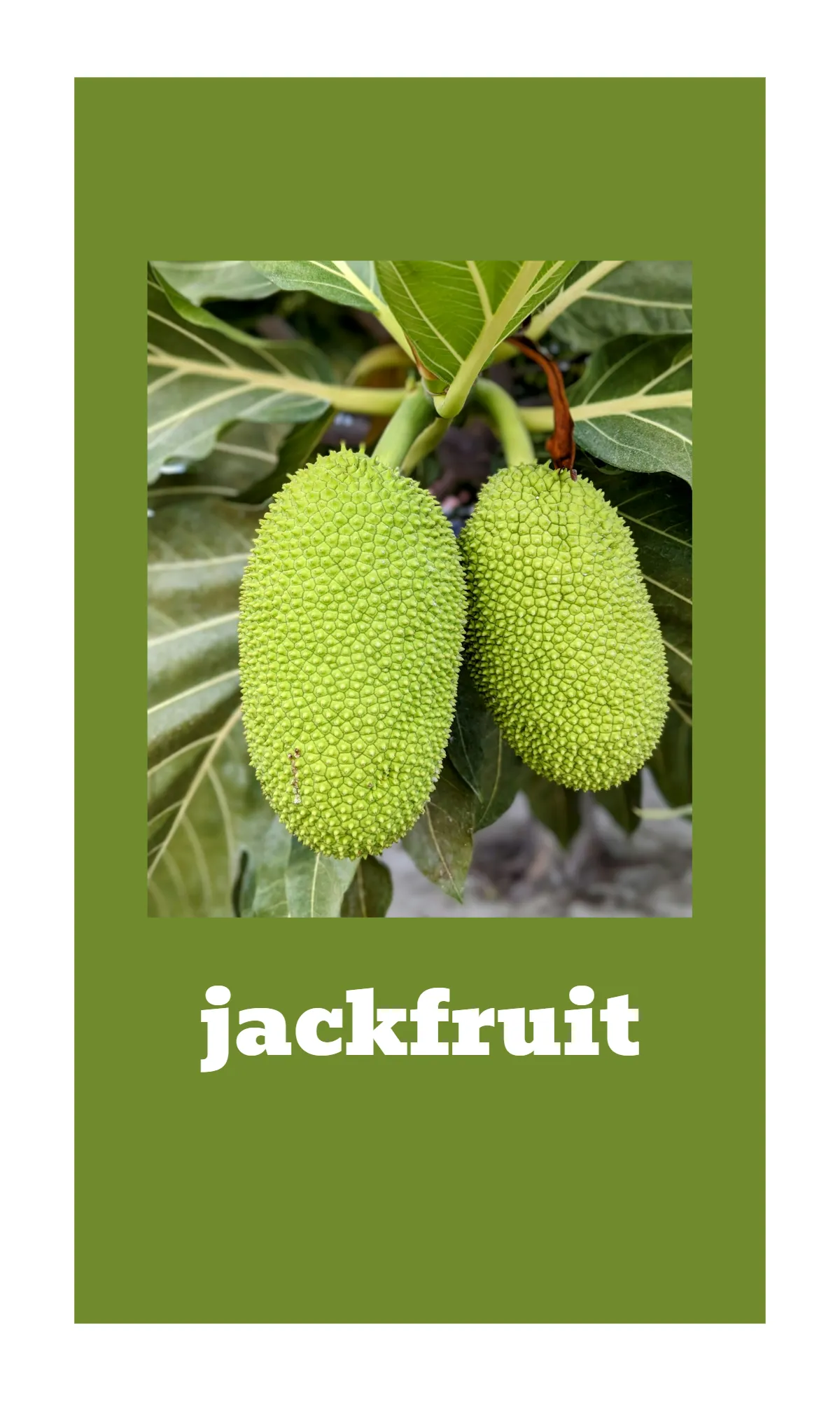 Free Fruit and Vegetable Alphabet Flashcards Template to Edit Online