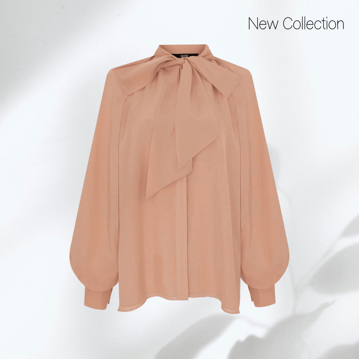 Free Blouse Poshmark Photo Template