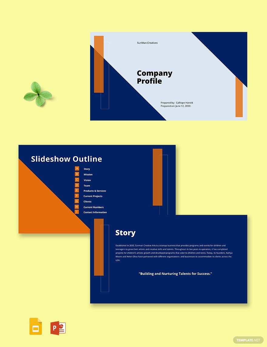 Startup Business Company Profile Template