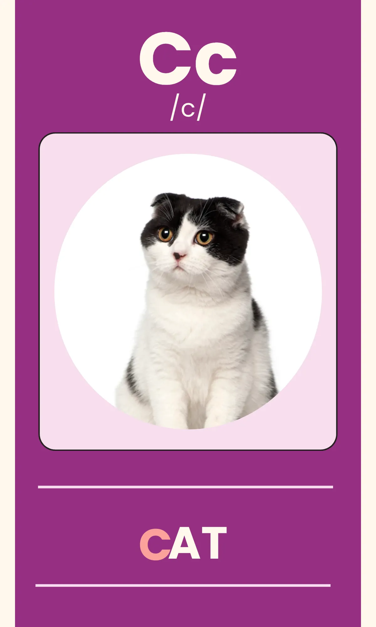 Free Alphabet Flashcards with Phonics Template to Edit Online