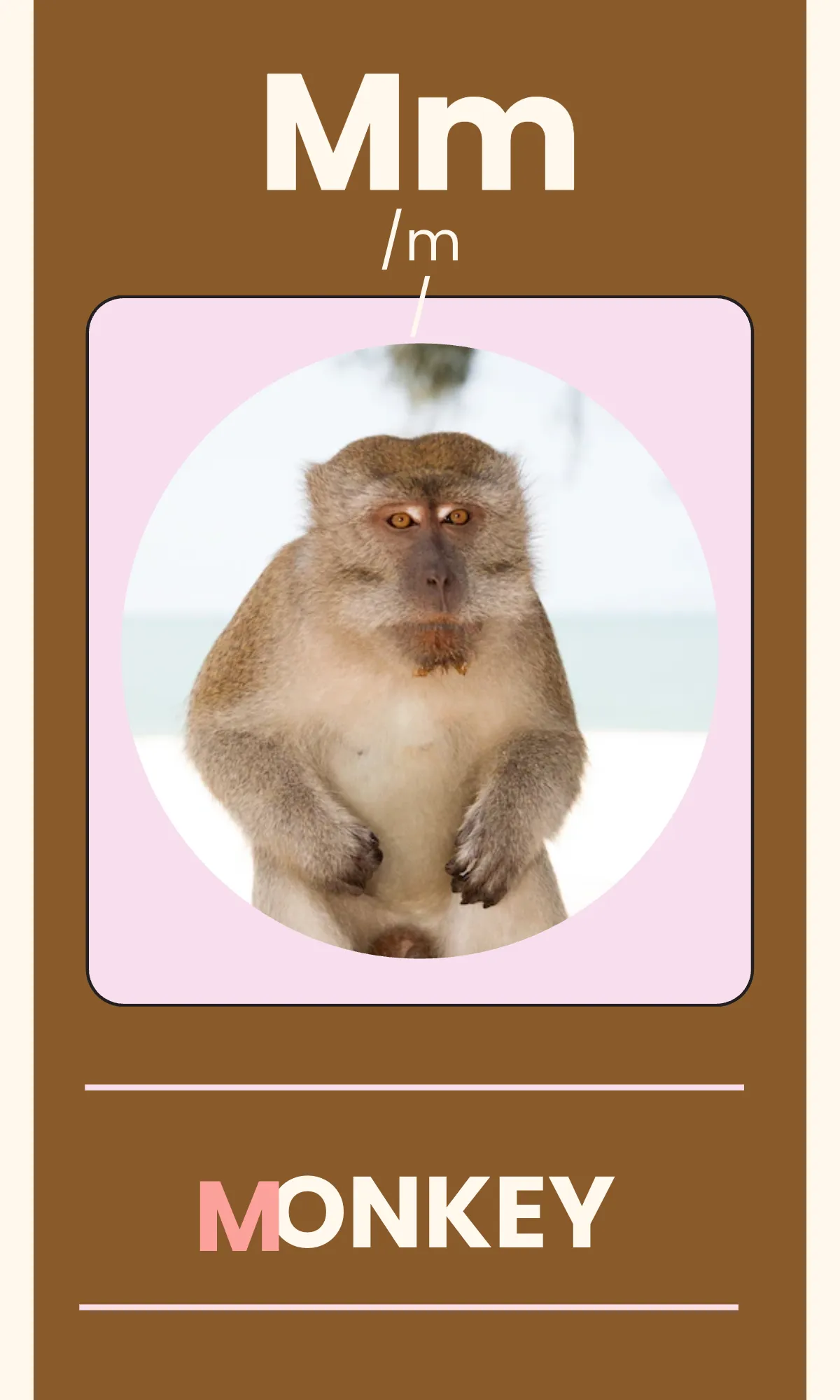 Free Alphabet Flashcards with Phonics Template to Edit Online