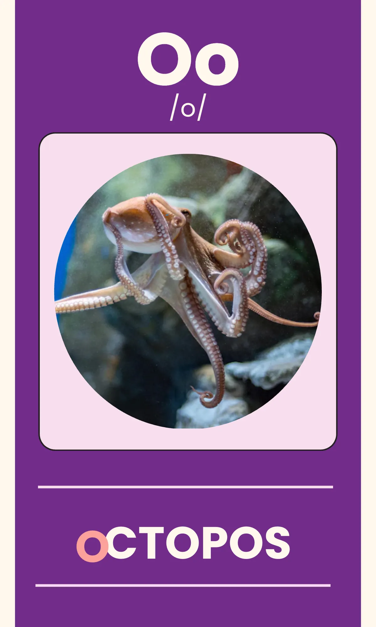 Free Alphabet Flashcards with Phonics Template to Edit Online