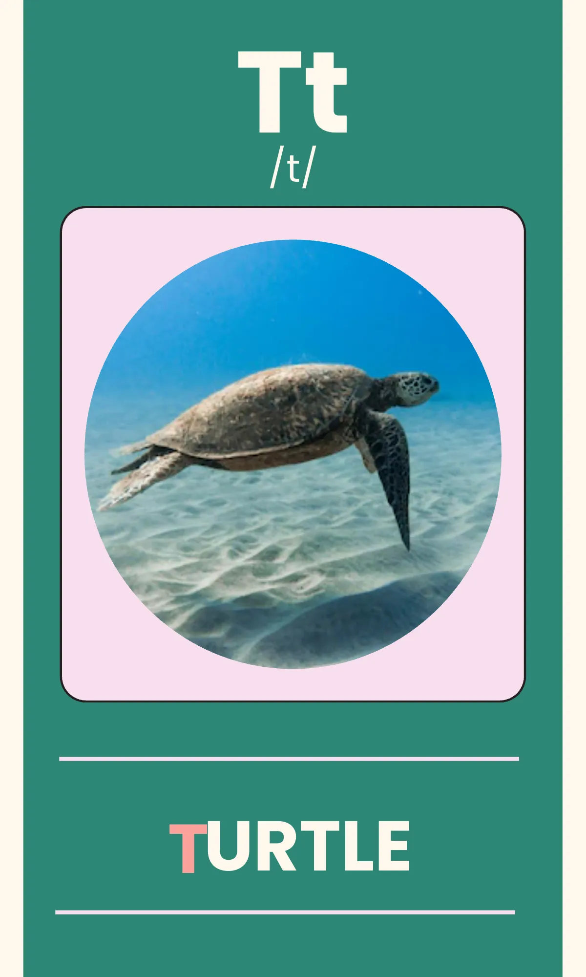 Free Alphabet Flashcards with Phonics Template to Edit Online