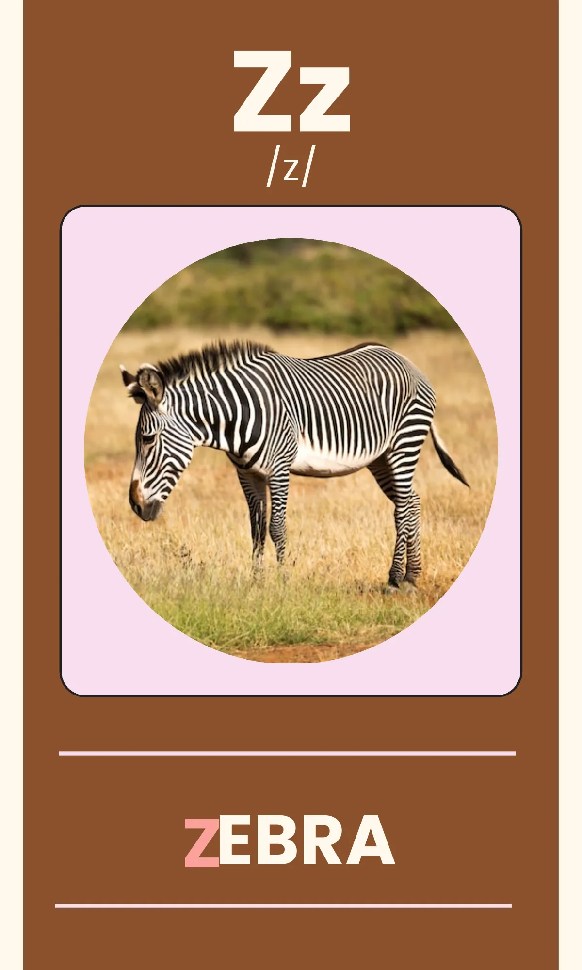 Free Alphabet Flashcards with Phonics Template to Edit Online