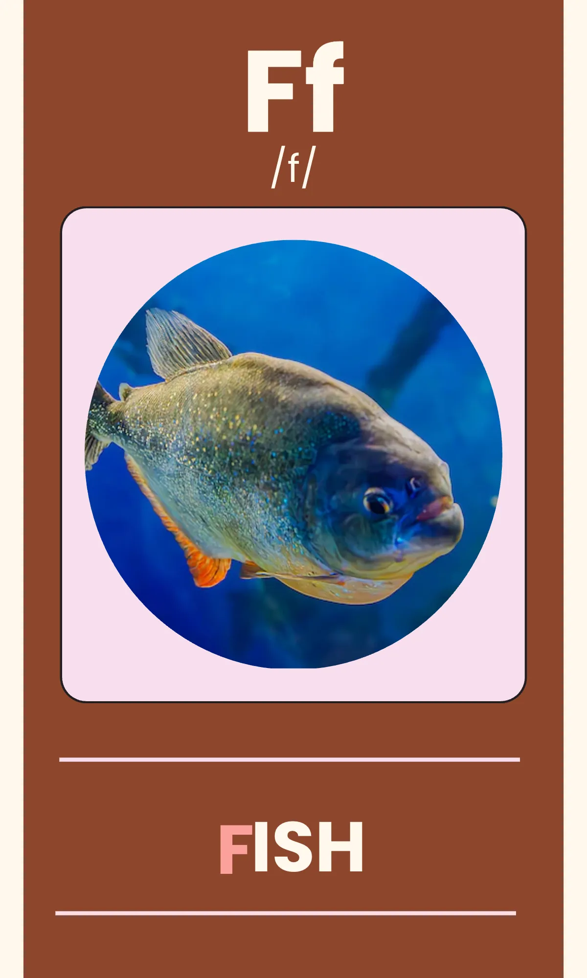 Free Alphabet Flashcards with Phonics Template to Edit Online