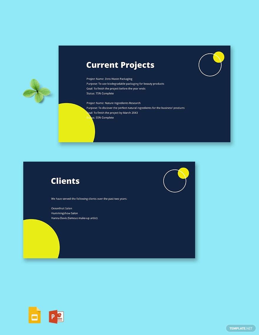 Business Startup up Profile Template