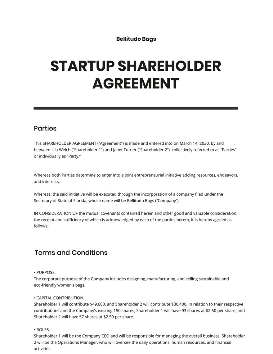 Startup Agreements Templates Format Free Download Template net