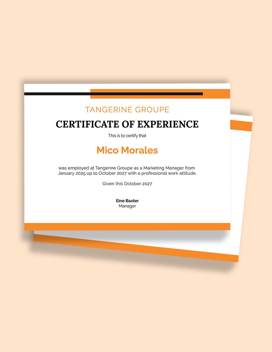 Company Job Experience Certificate Template in Word, Google Docs, PSD, Apple Pages, Publisher