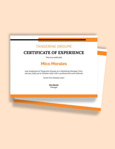 Company Job Experience Certificate template 