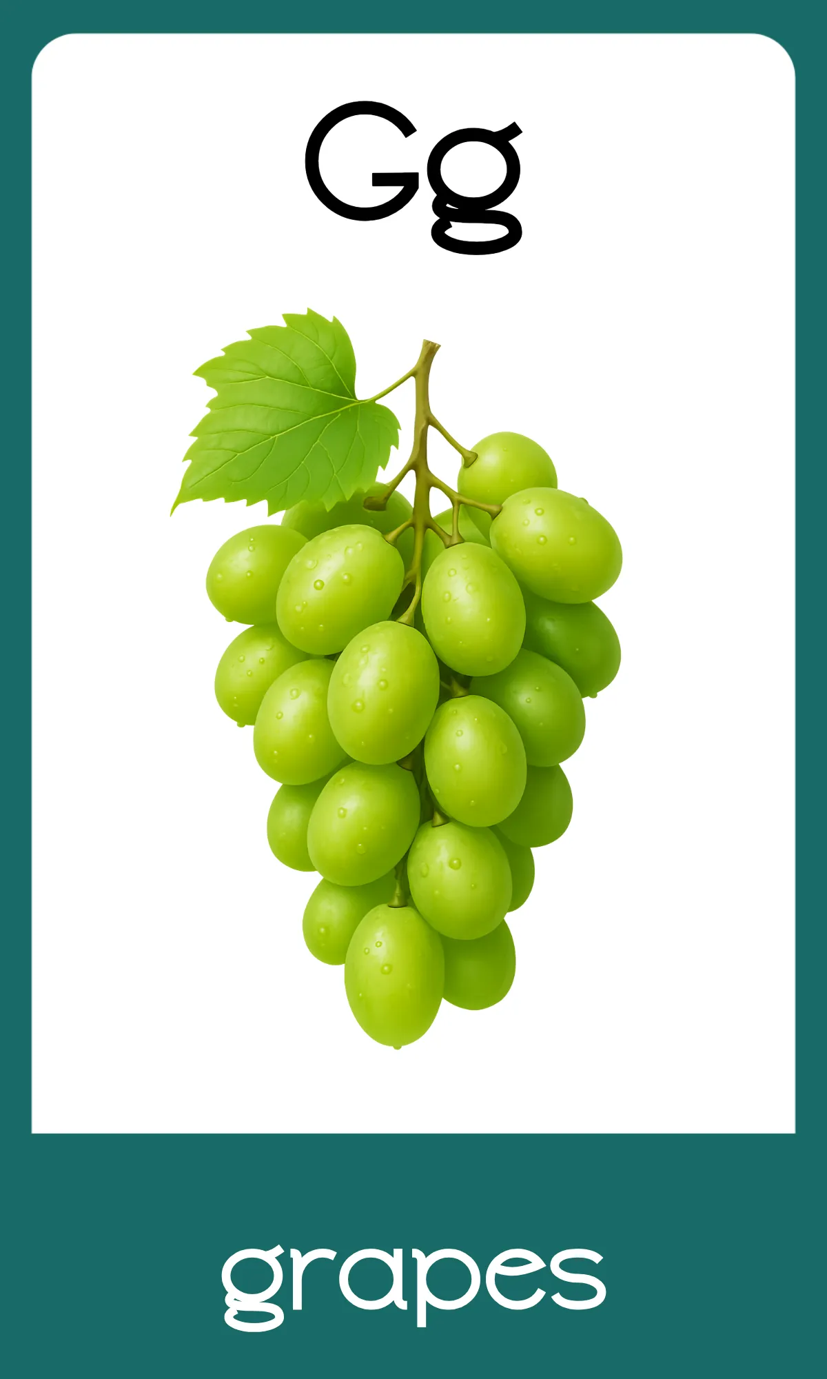 Free Alphabet Flashcards with Pictures Template to Edit Online