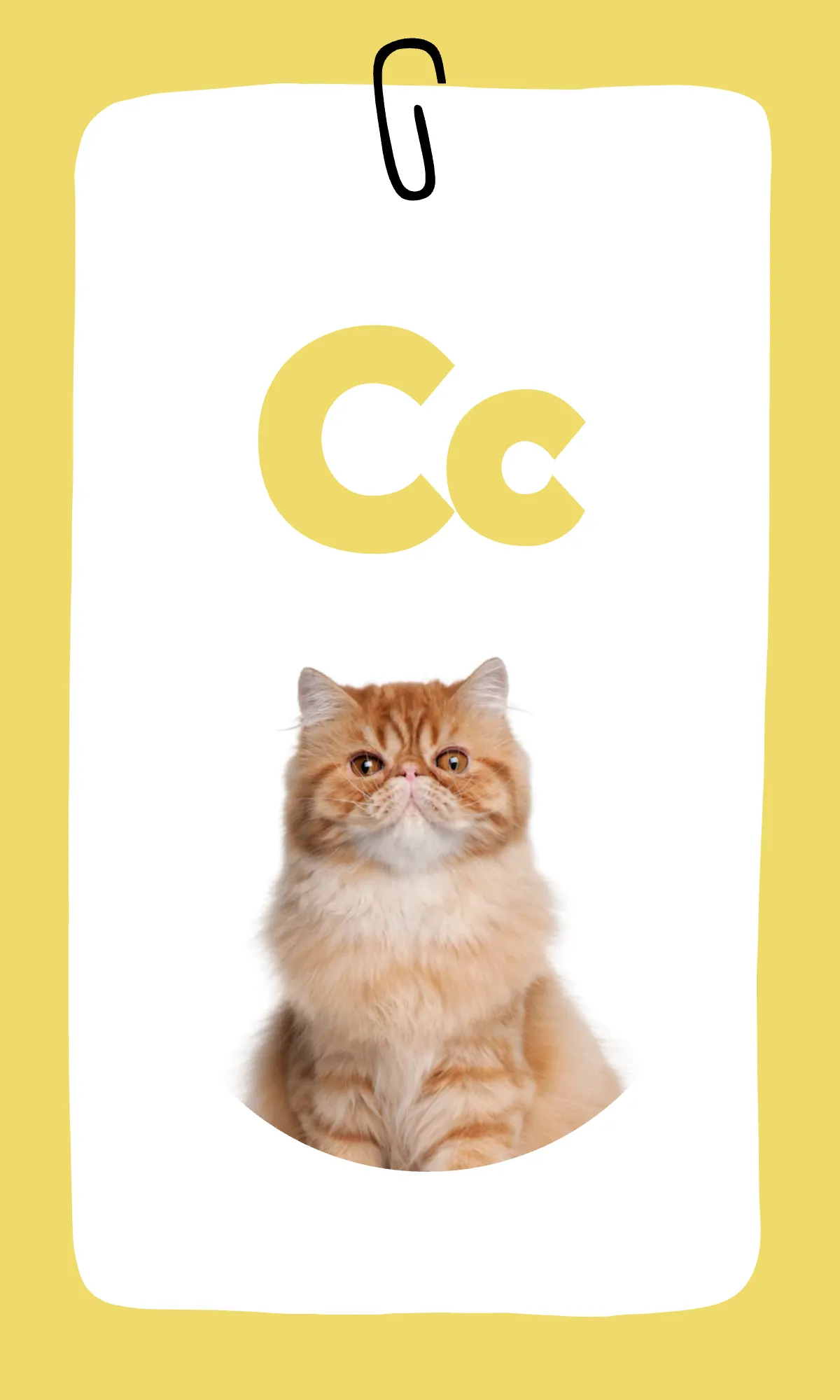 Free Rainbow Alphabet Flashcards Template to Edit Online