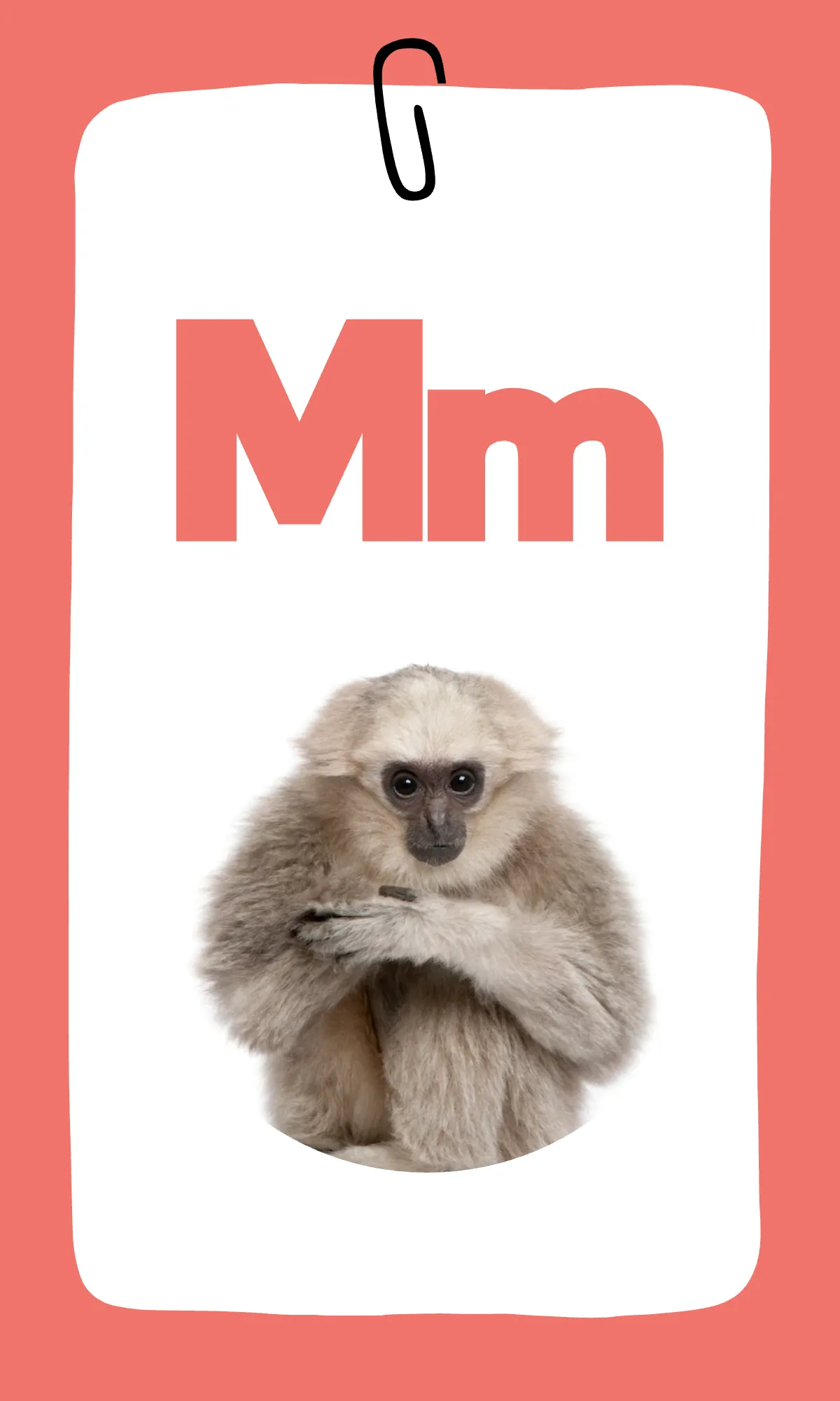 Free Rainbow Alphabet Flashcards Template to Edit Online