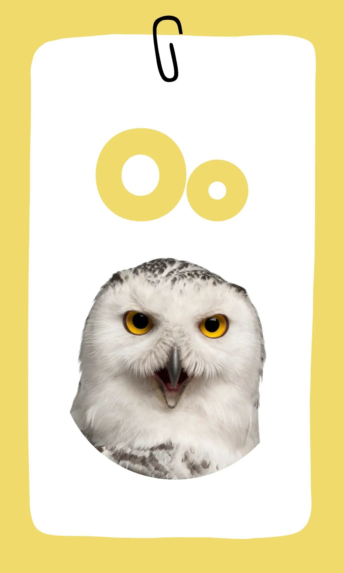 Free Rainbow Alphabet Flashcards Template to Edit Online