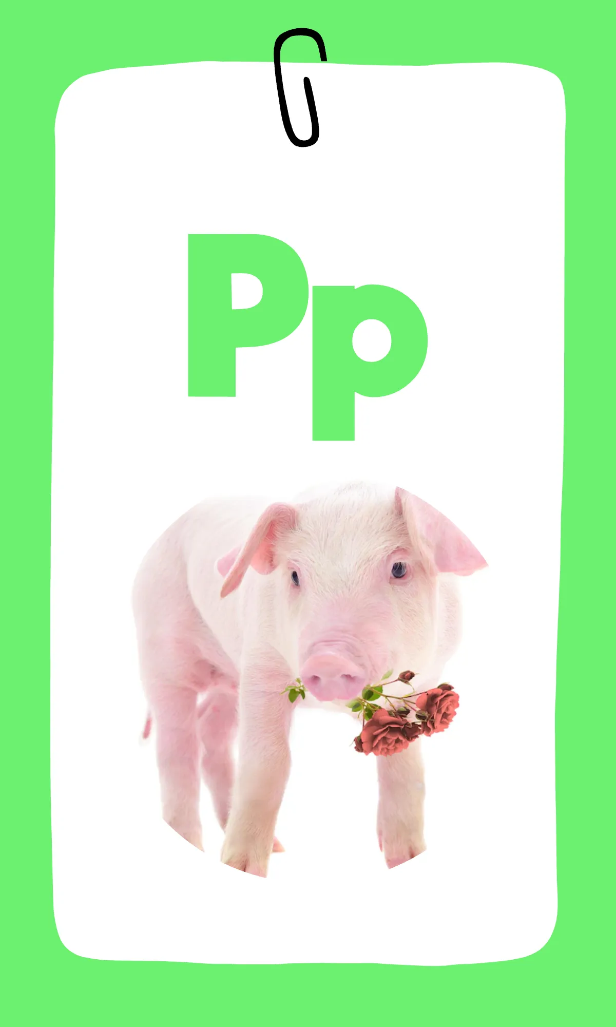 Free Rainbow Alphabet Flashcards Template to Edit Online