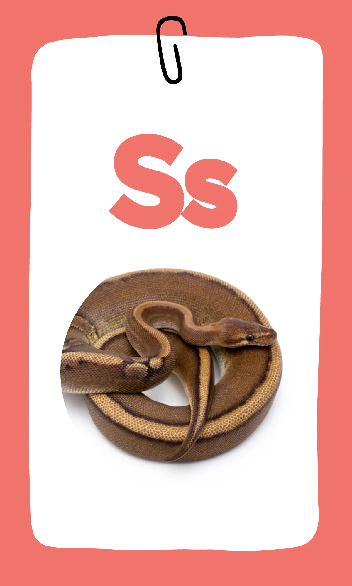 Free Rainbow Alphabet Flashcards Template to Edit Online