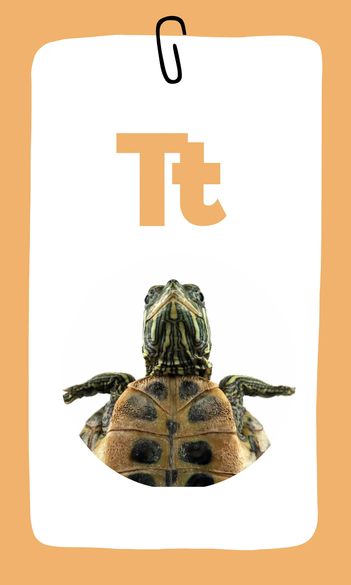 Free Rainbow Alphabet Flashcards Template to Edit Online