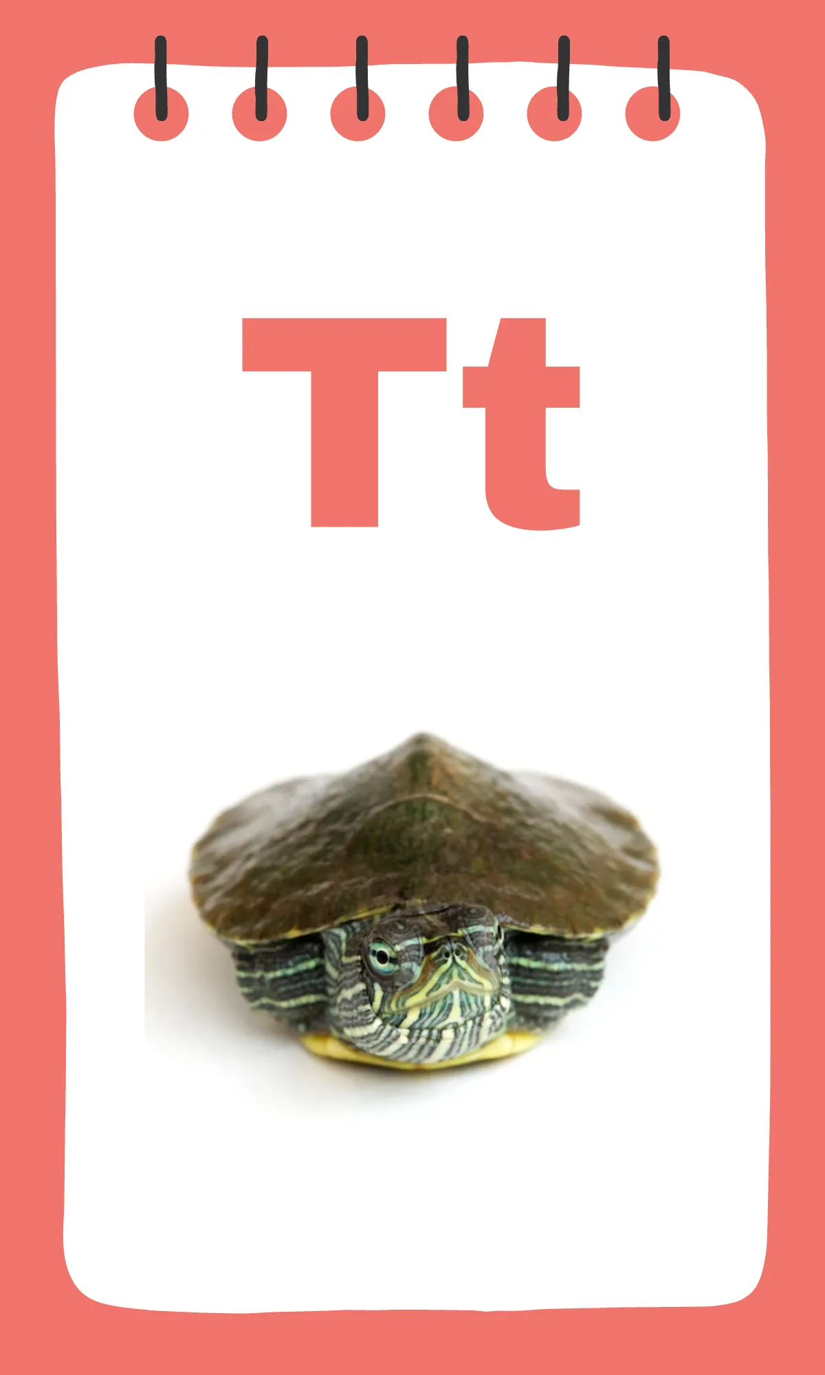 Free Printable Alphabet Flashcards Template to Edit Online