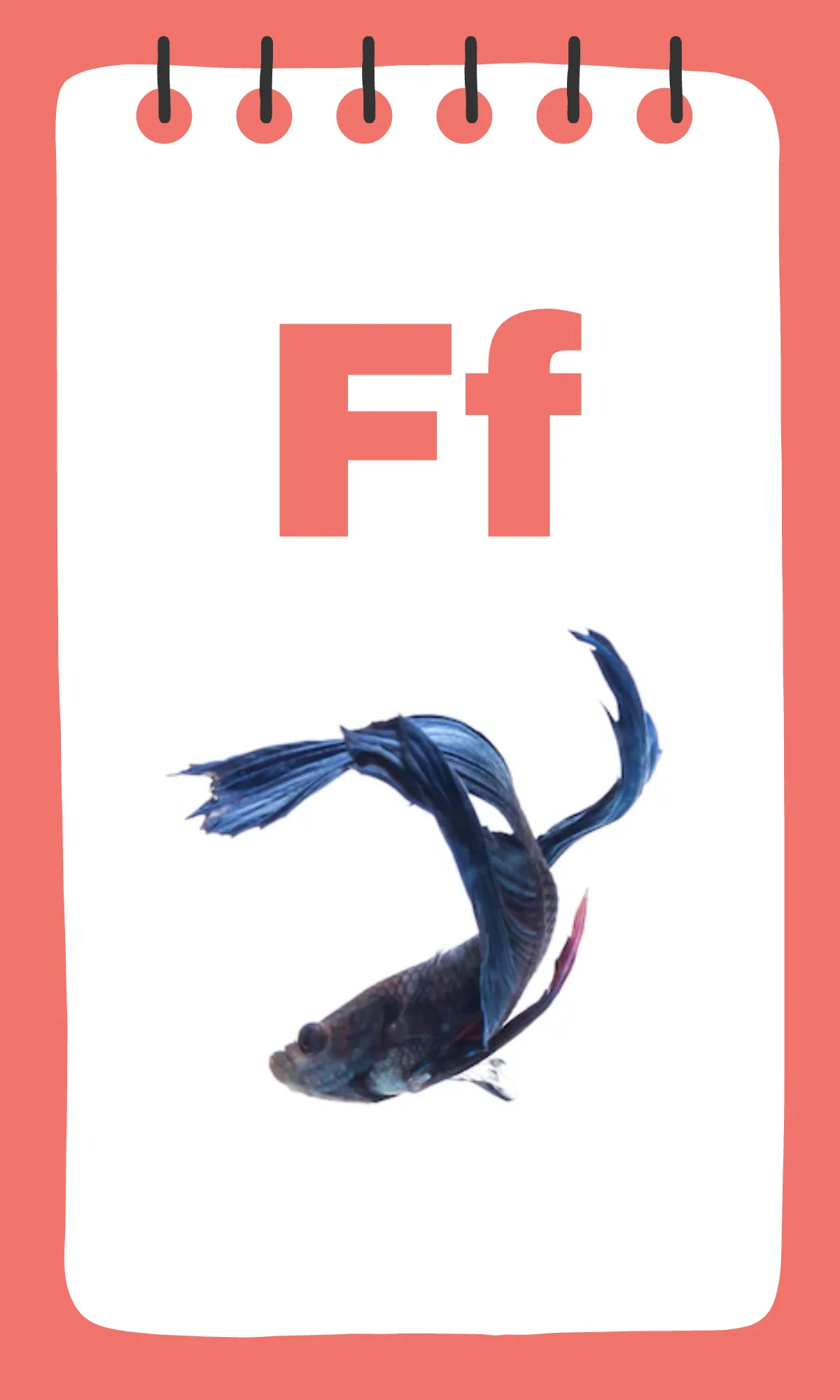 Free Printable Alphabet Flashcards Template to Edit Online