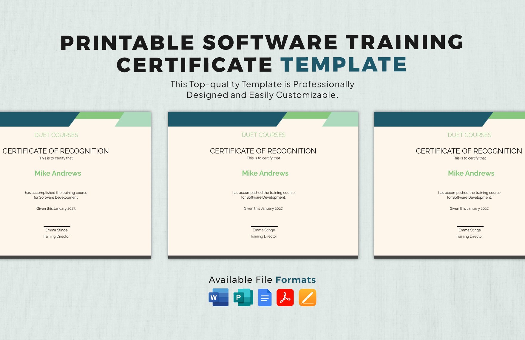 Printable Software Training Certificate Template
