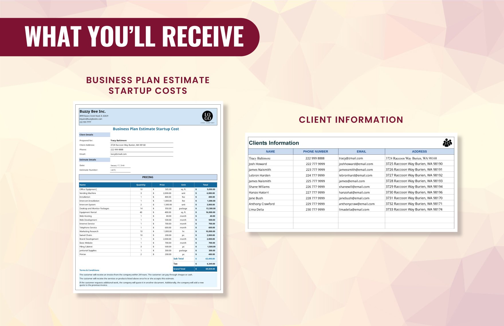 Business Plan Estimate Startup Costs Template