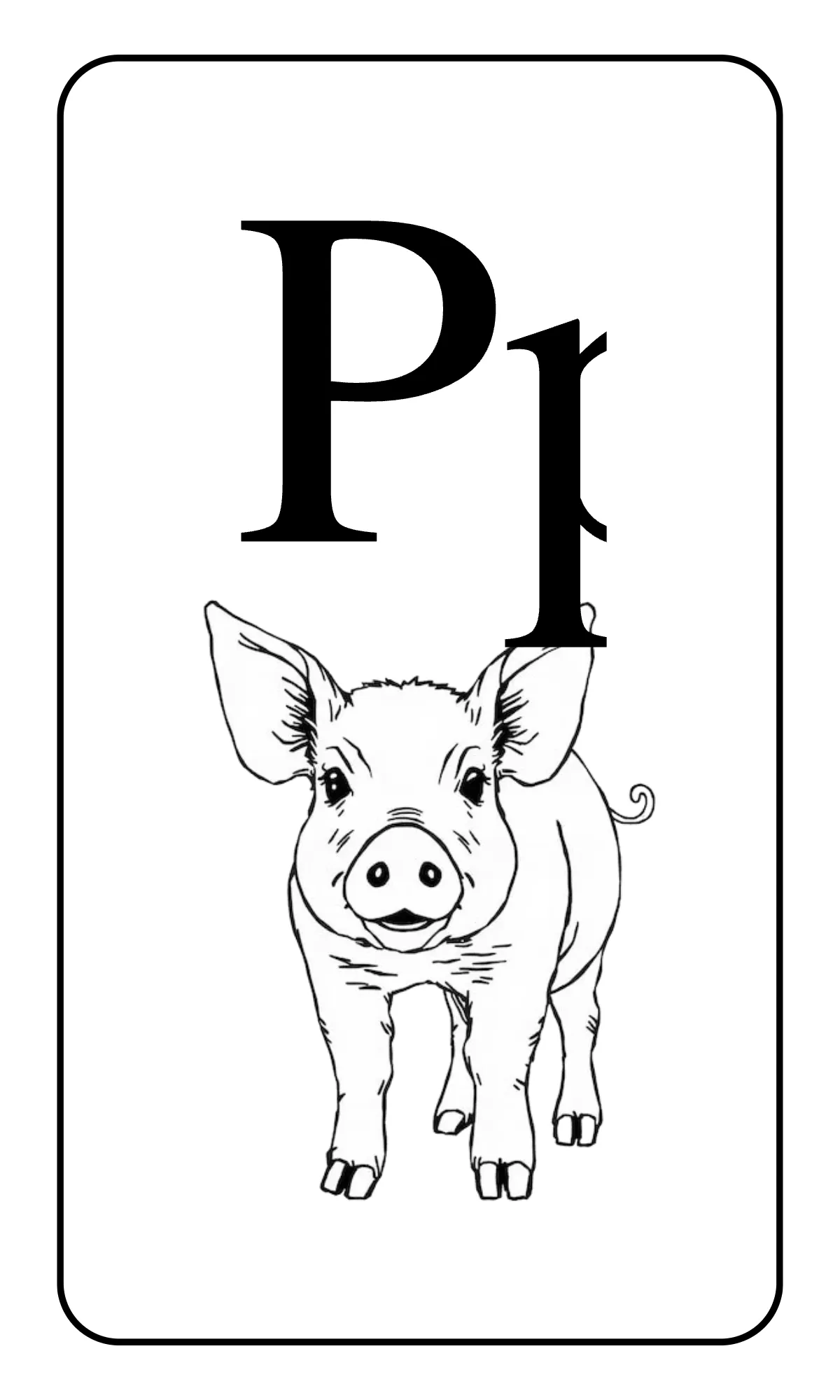 Free Alphabet Flashcards with Tracing Lines Template to Edit Online