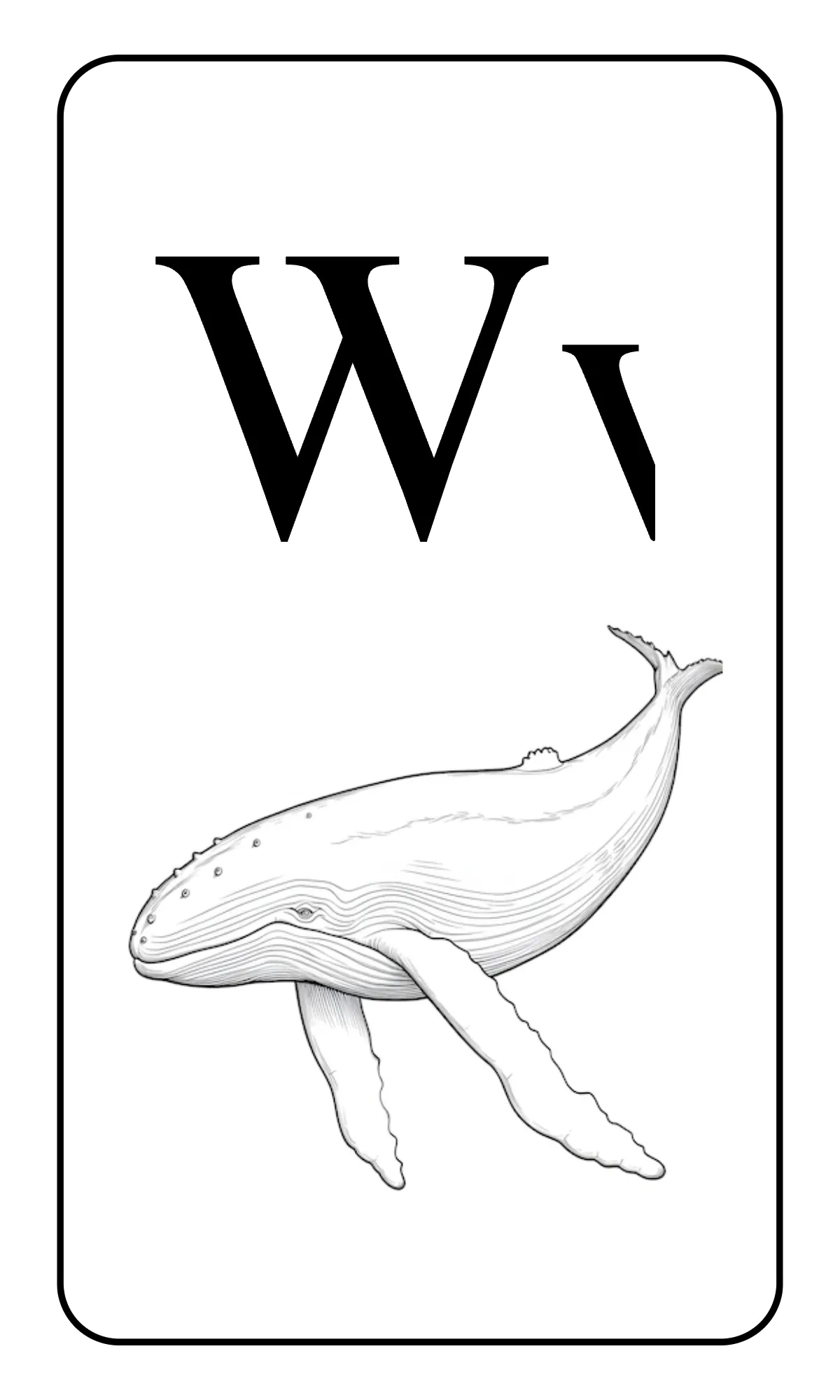 Free Alphabet Flashcards with Tracing Lines Template to Edit Online