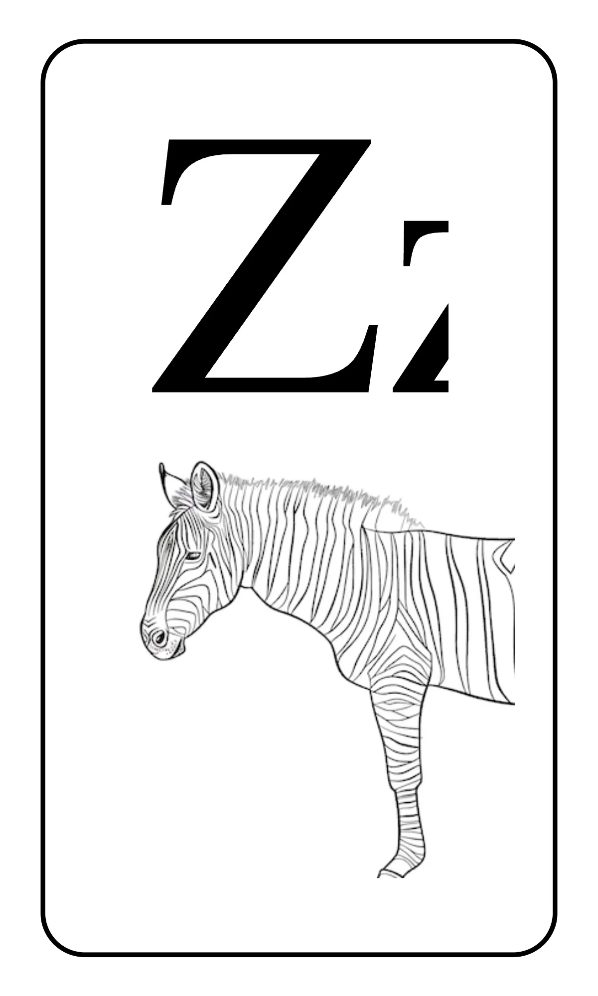 Free Alphabet Flashcards with Tracing Lines Template to Edit Online
