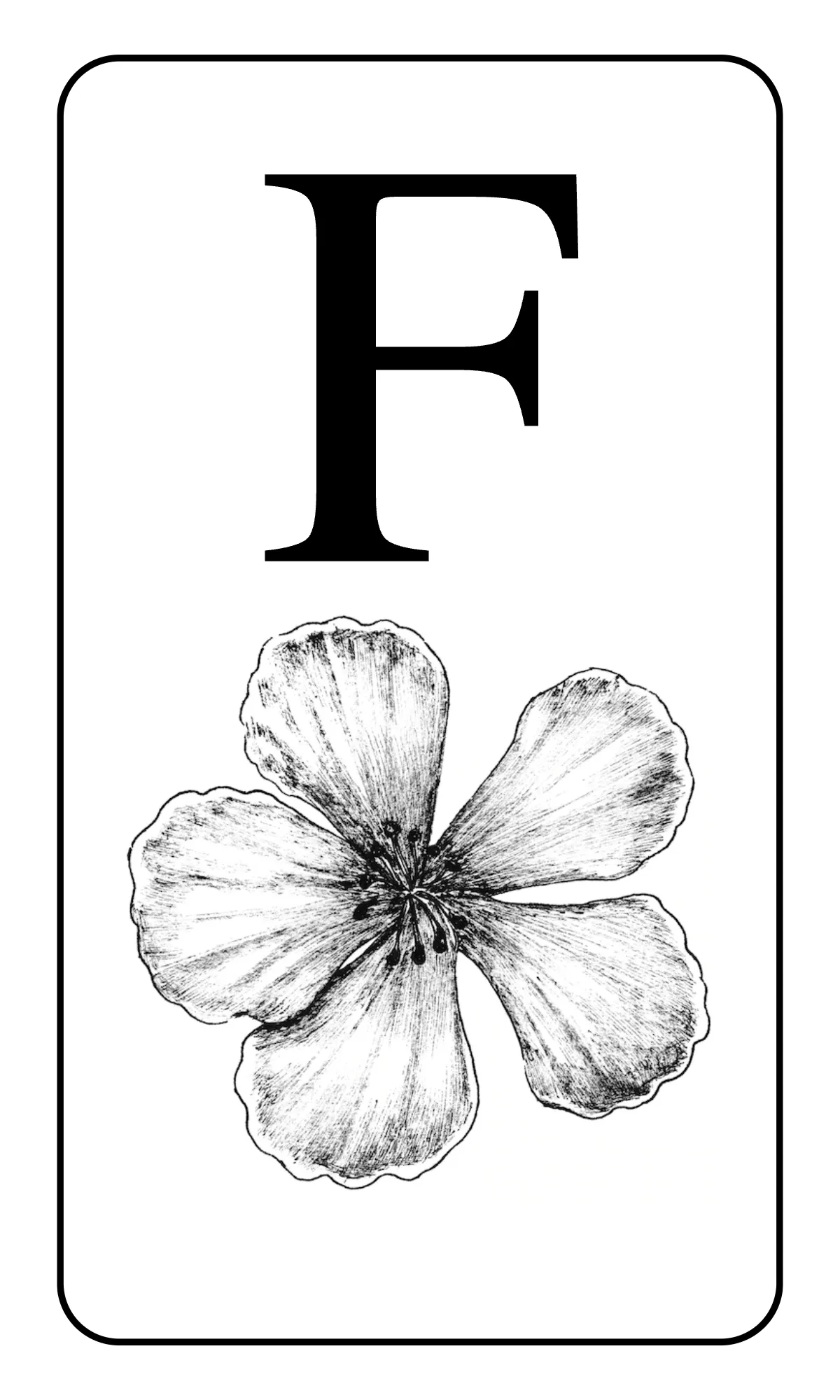 Free Alphabet Flashcards with Tracing Lines Template to Edit Online