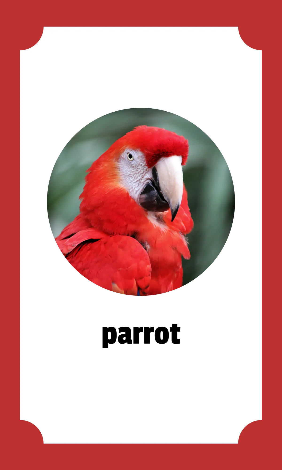 Free Kindergarten Alphabet Flashcards Template to Edit Online