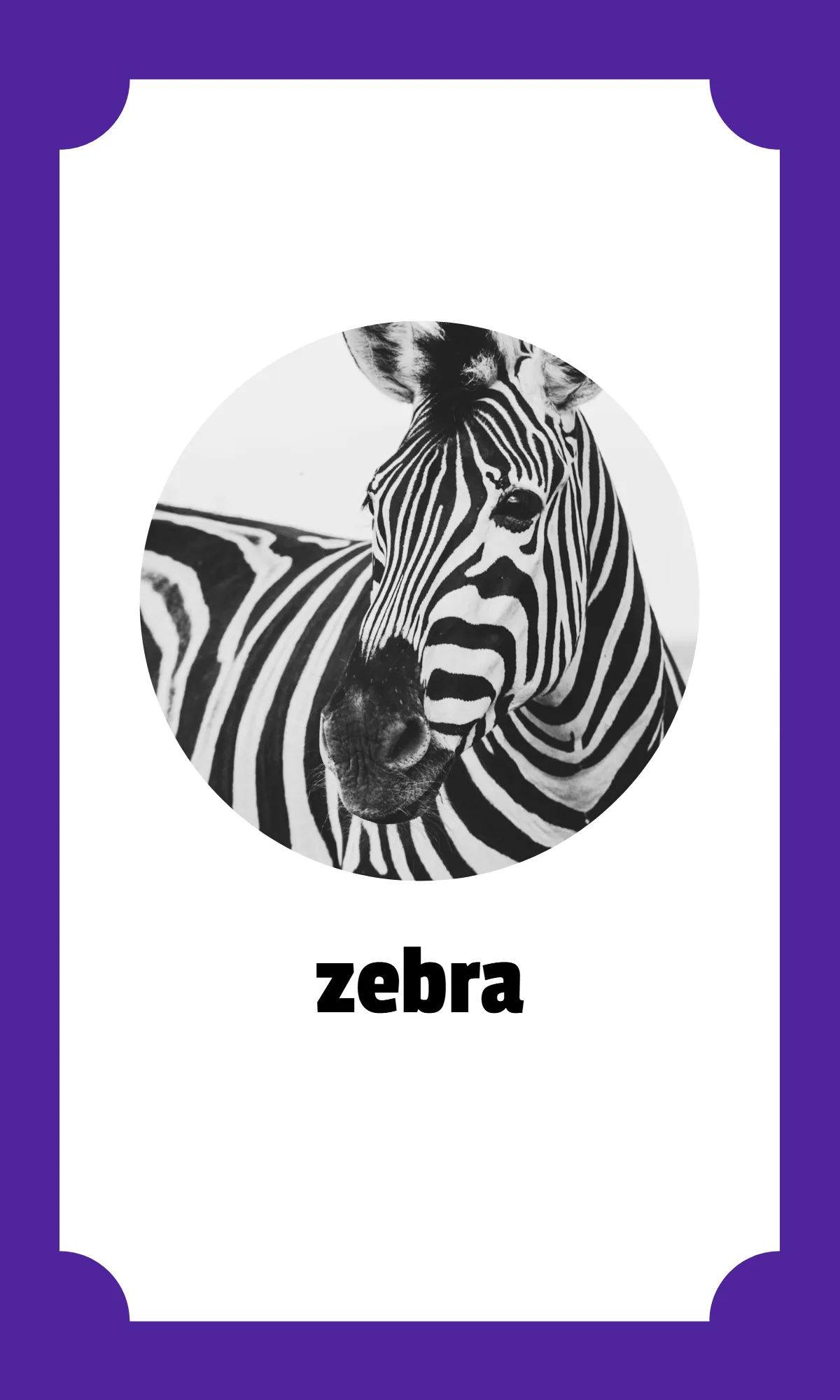 Free Kindergarten Alphabet Flashcards Template to Edit Online