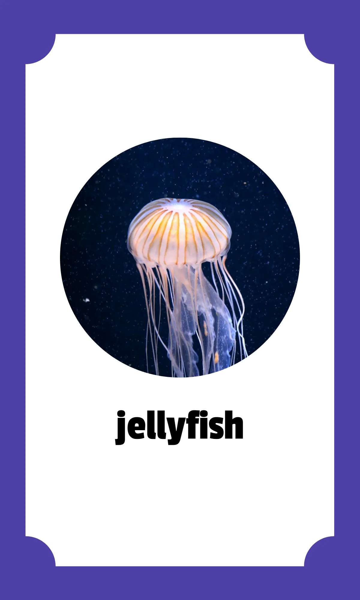 Free Kindergarten Alphabet Flashcards Template to Edit Online