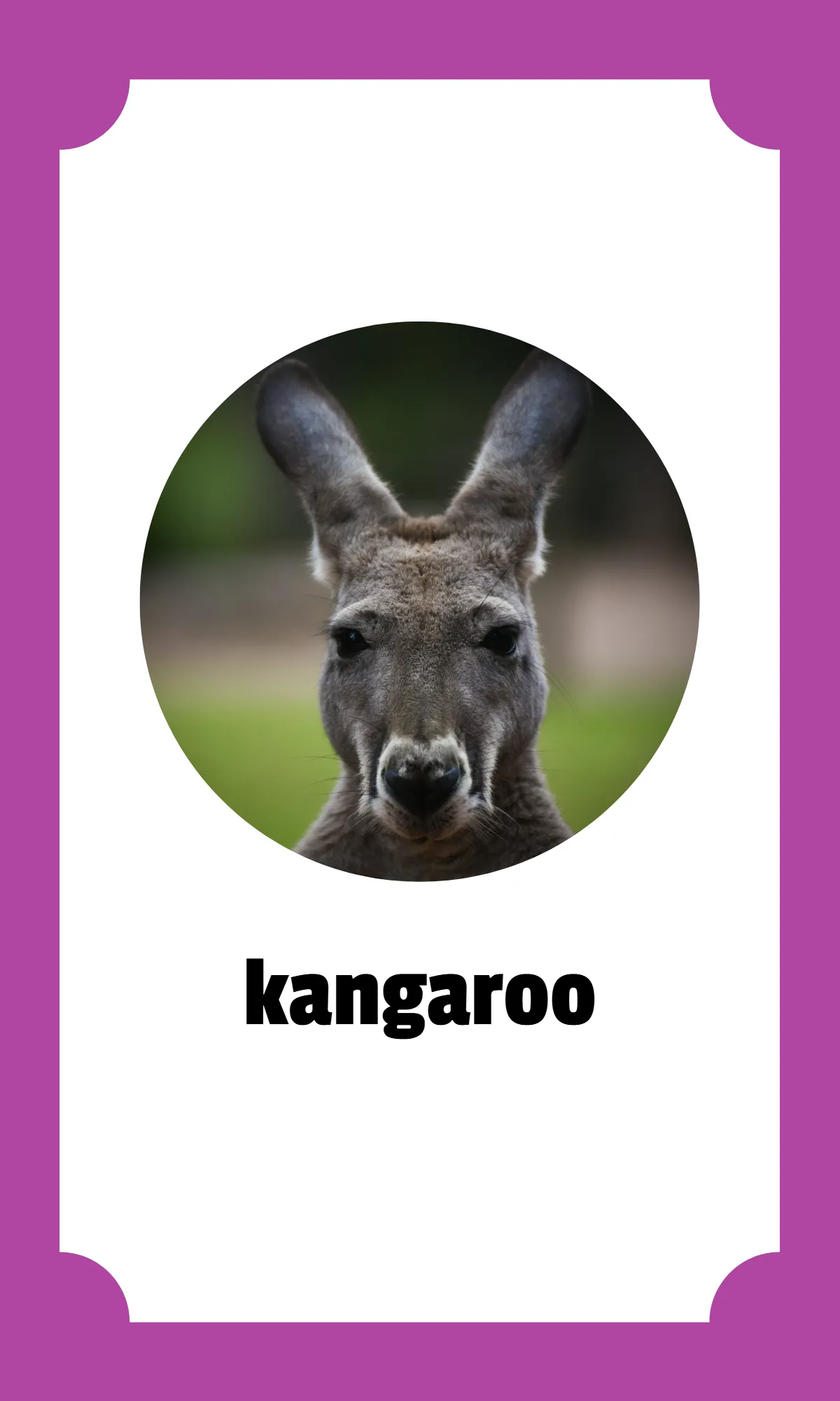 Free Kindergarten Alphabet Flashcards Template to Edit Online