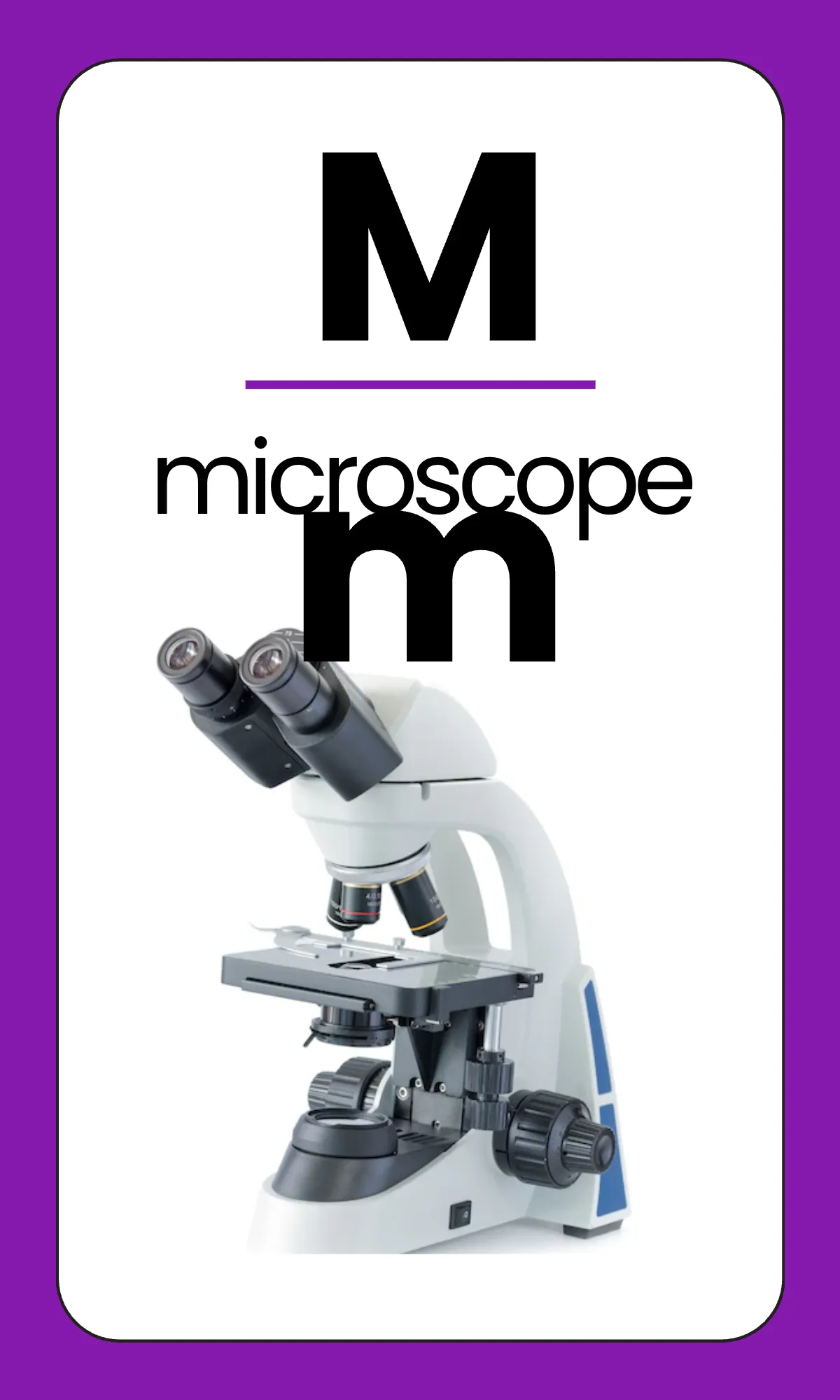 Free Elementary Alphabet Flashcards Template to Edit Online