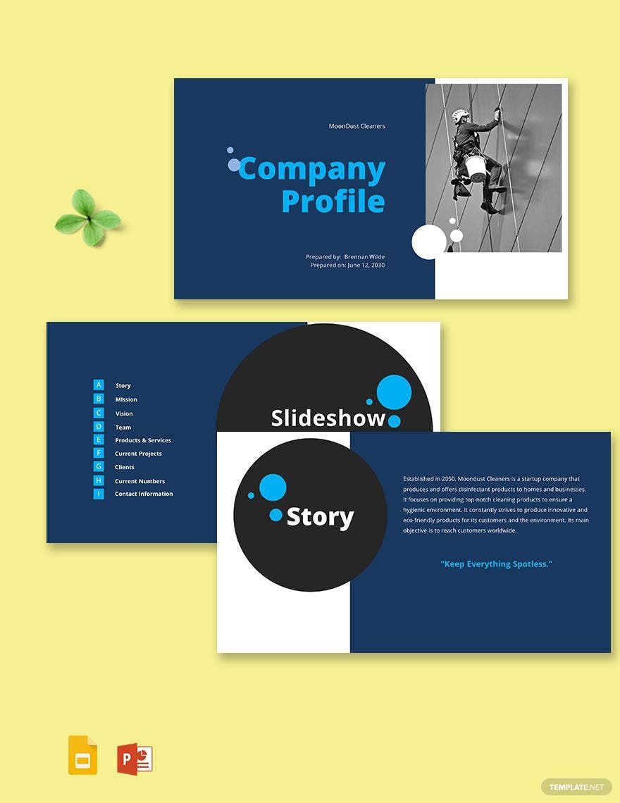 Company Profile For Startup Business Template