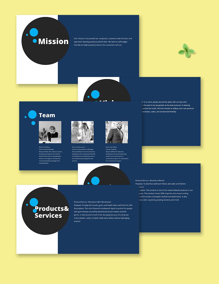 Company Profile For Startup Business Template