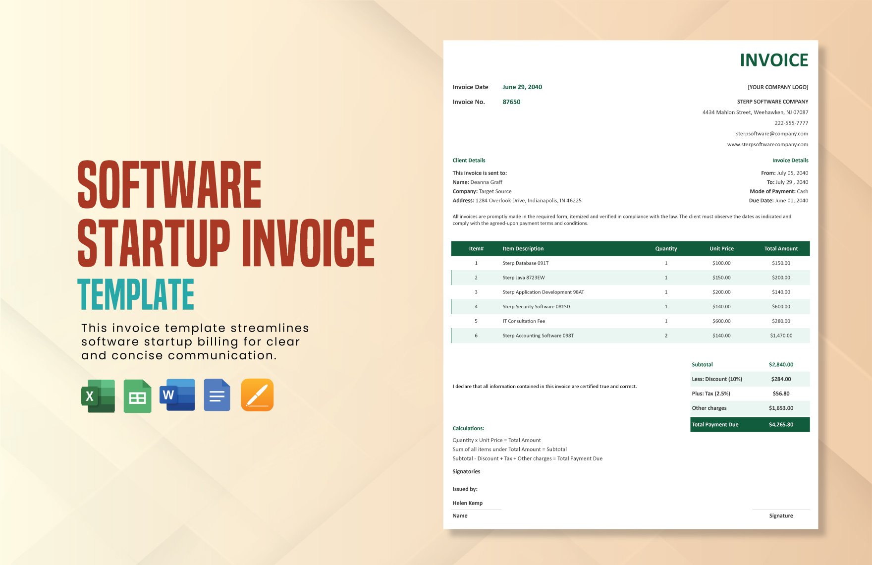 Software Startup Invoice Template in Word, Google Docs, Excel, Google Sheets, Apple Pages