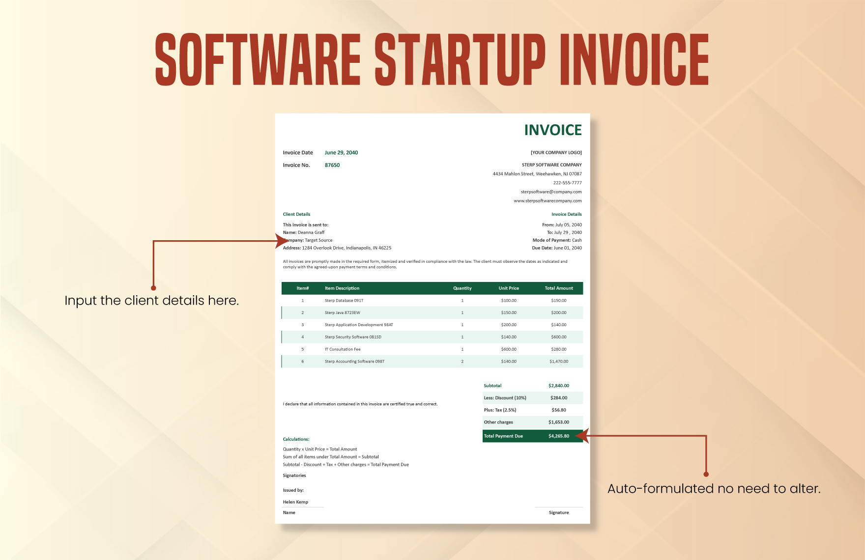 Software Startup Invoice Template