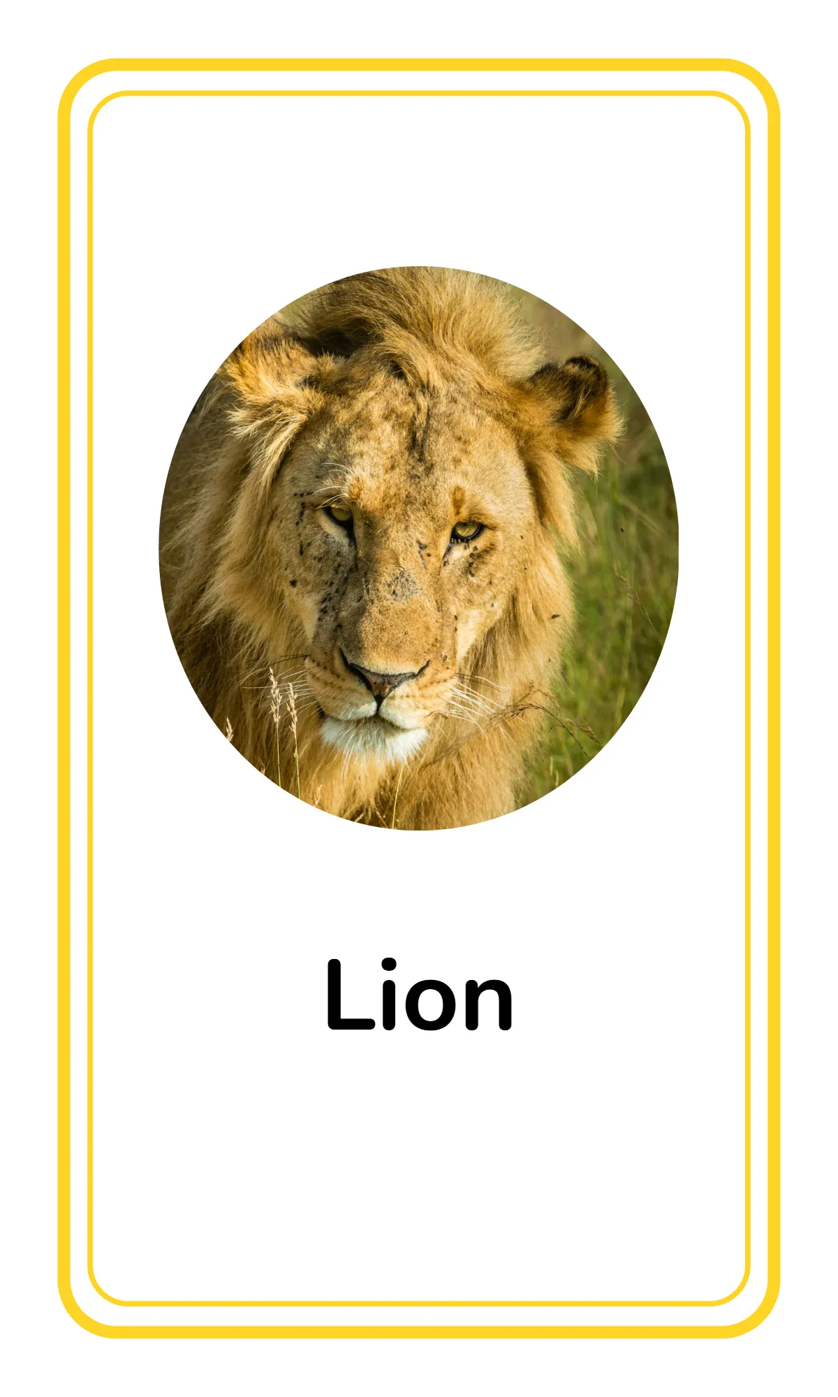 Free Alphabet Flashcards for Toddlers Template to Edit Online Free Alphabet Flashcards for Toddlers Template to Edit Online