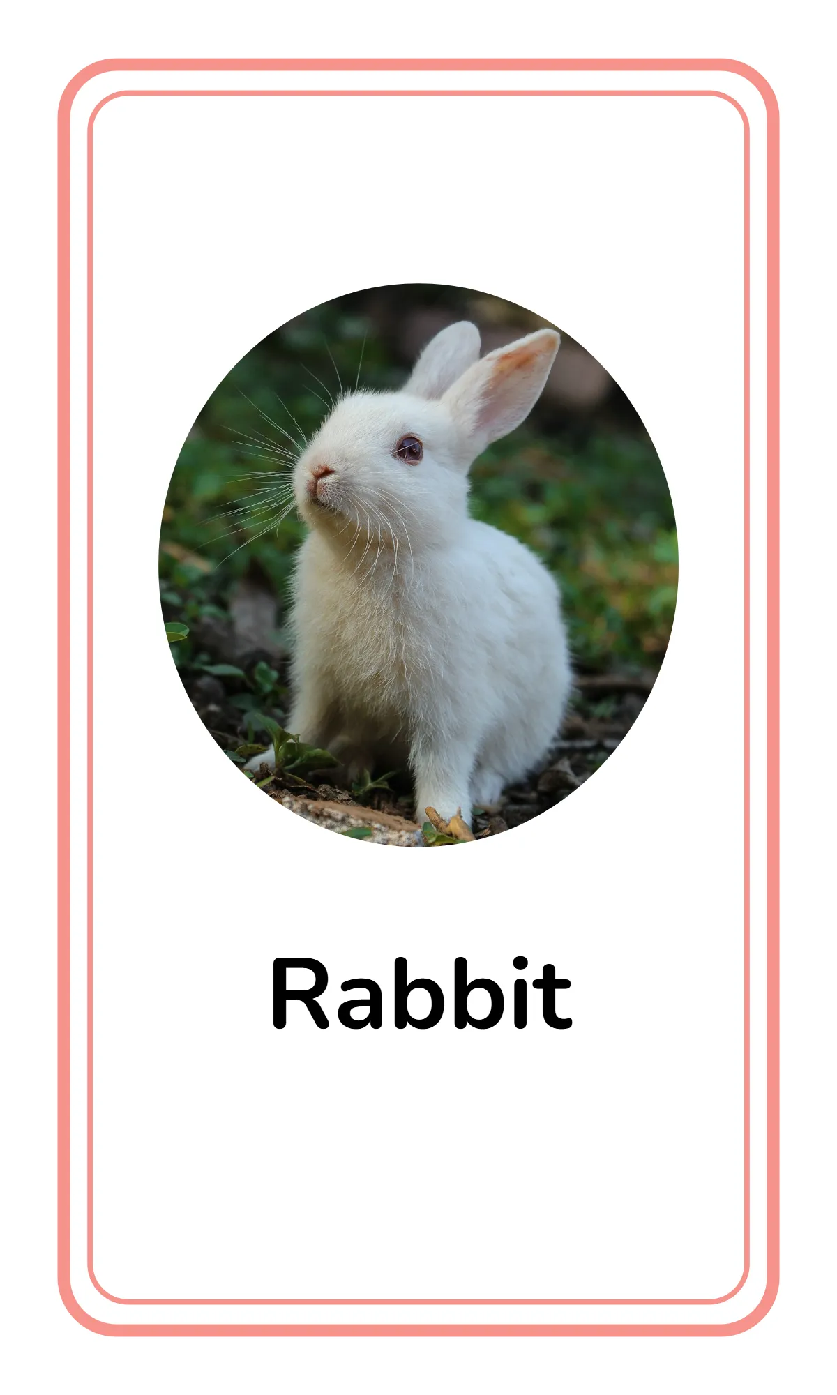 Free Alphabet Flashcards for Toddlers Template to Edit Online Free Alphabet Flashcards for Toddlers Template to Edit Online