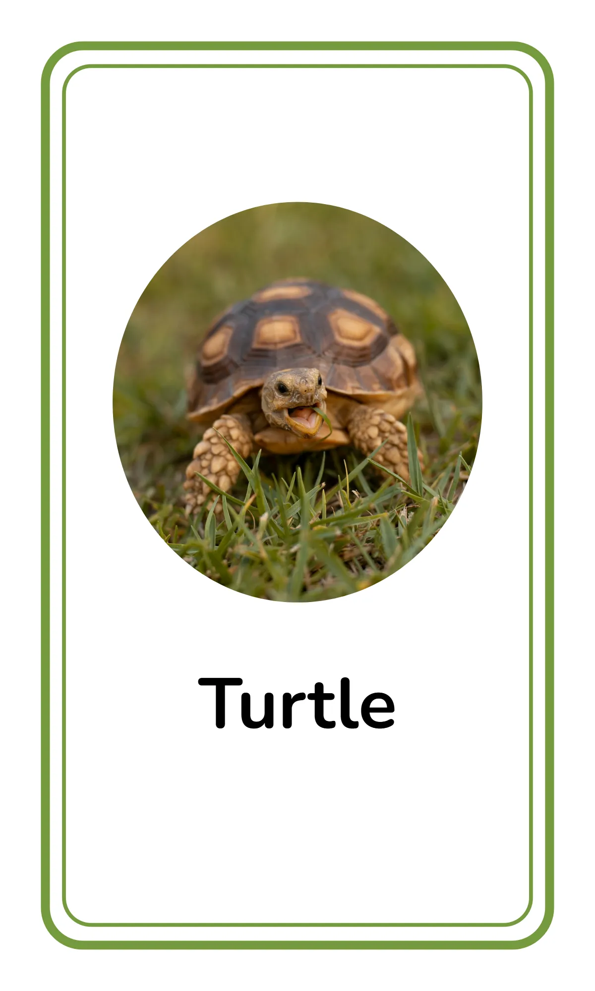 Free Alphabet Flashcards for Toddlers Template to Edit Online Free Alphabet Flashcards for Toddlers Template to Edit Online