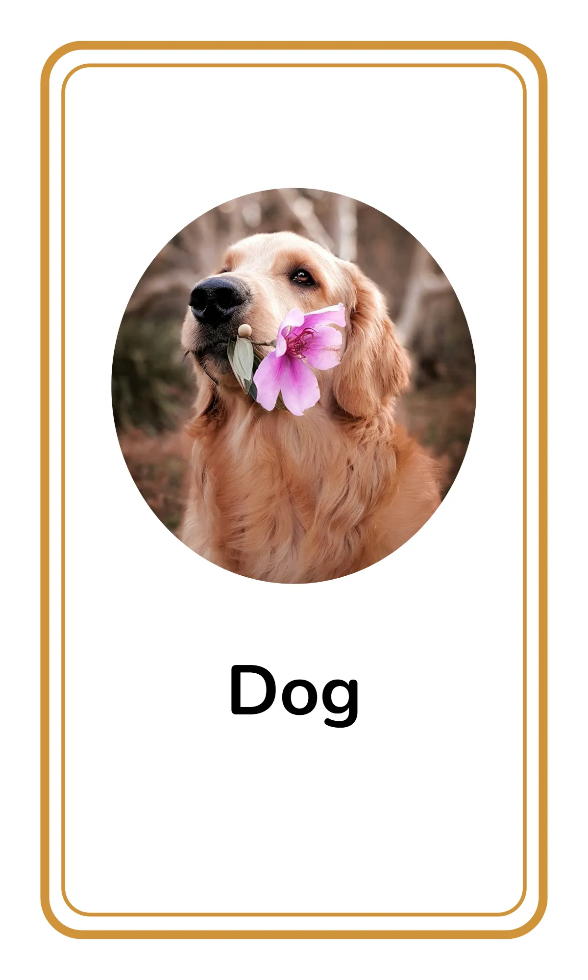 Free Alphabet Flashcards for Toddlers Template to Edit Online Free Alphabet Flashcards for Toddlers Template to Edit Online