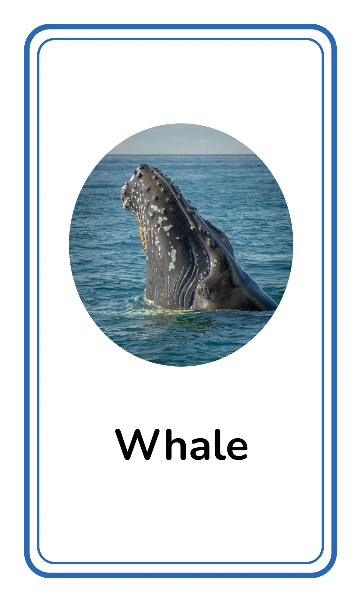 Free Alphabet Flashcards for Toddlers Template to Edit Online Free Alphabet Flashcards for Toddlers Template to Edit Online