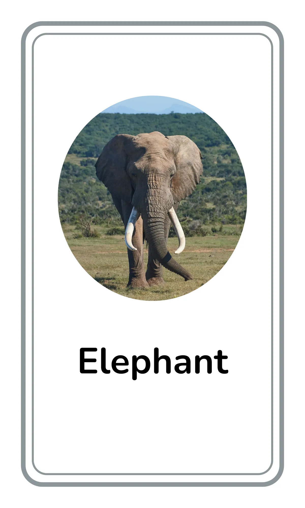 Free Alphabet Flashcards for Toddlers Template to Edit Online Free Alphabet Flashcards for Toddlers Template to Edit Online