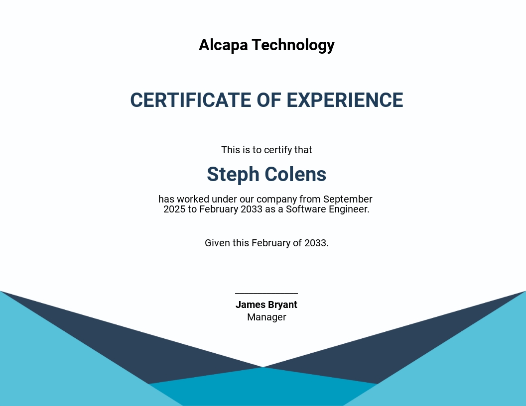 Software Experience Certificate Template - Word
