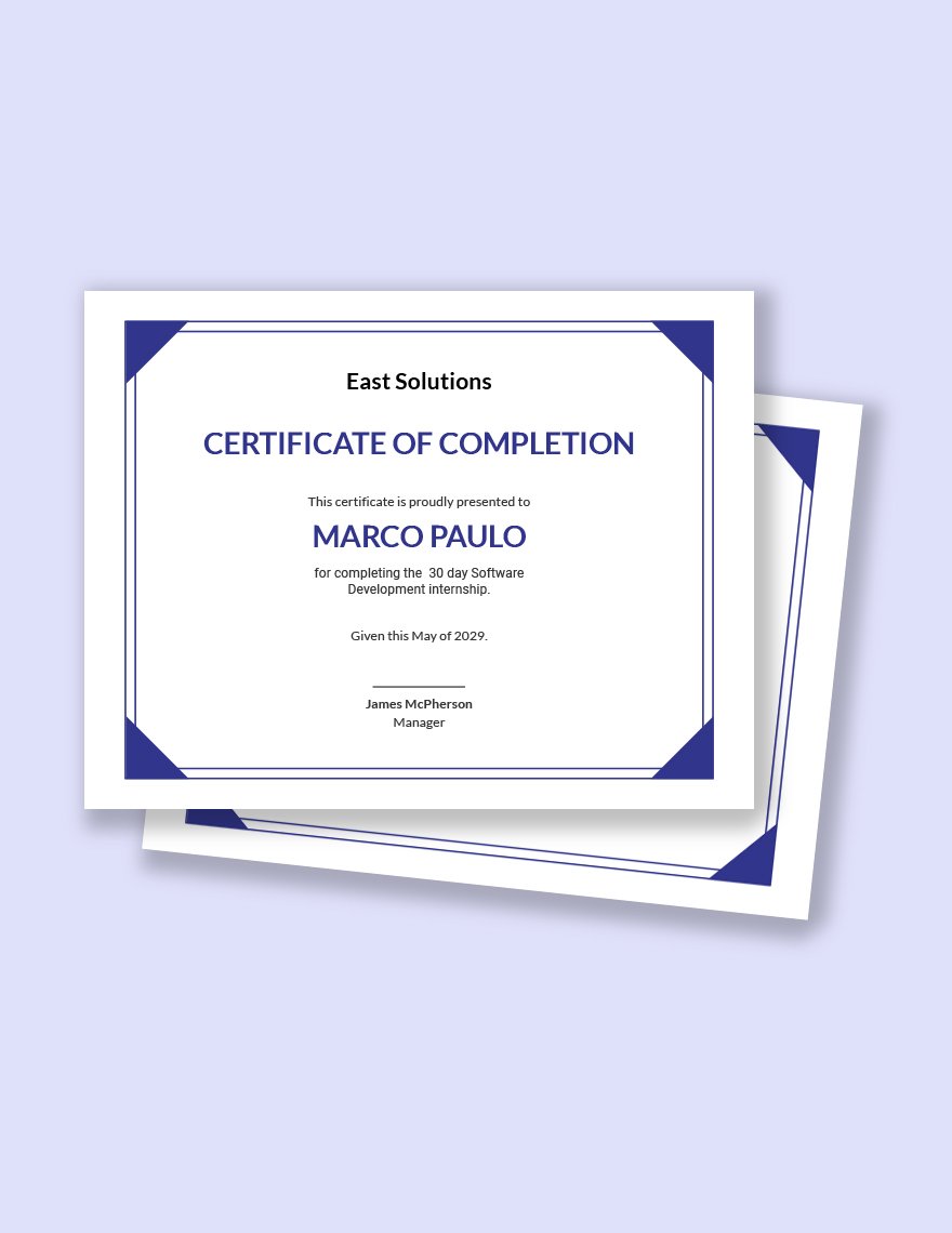 Editable Software Internship Certificate Template