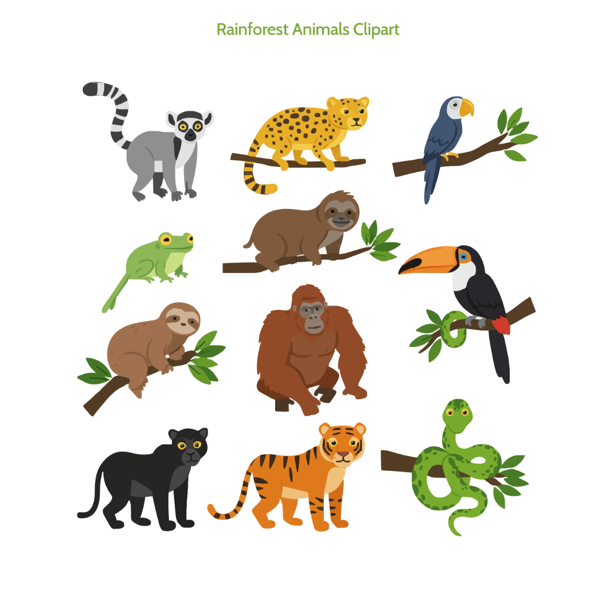 Free Rainforest Animals Clipart Template