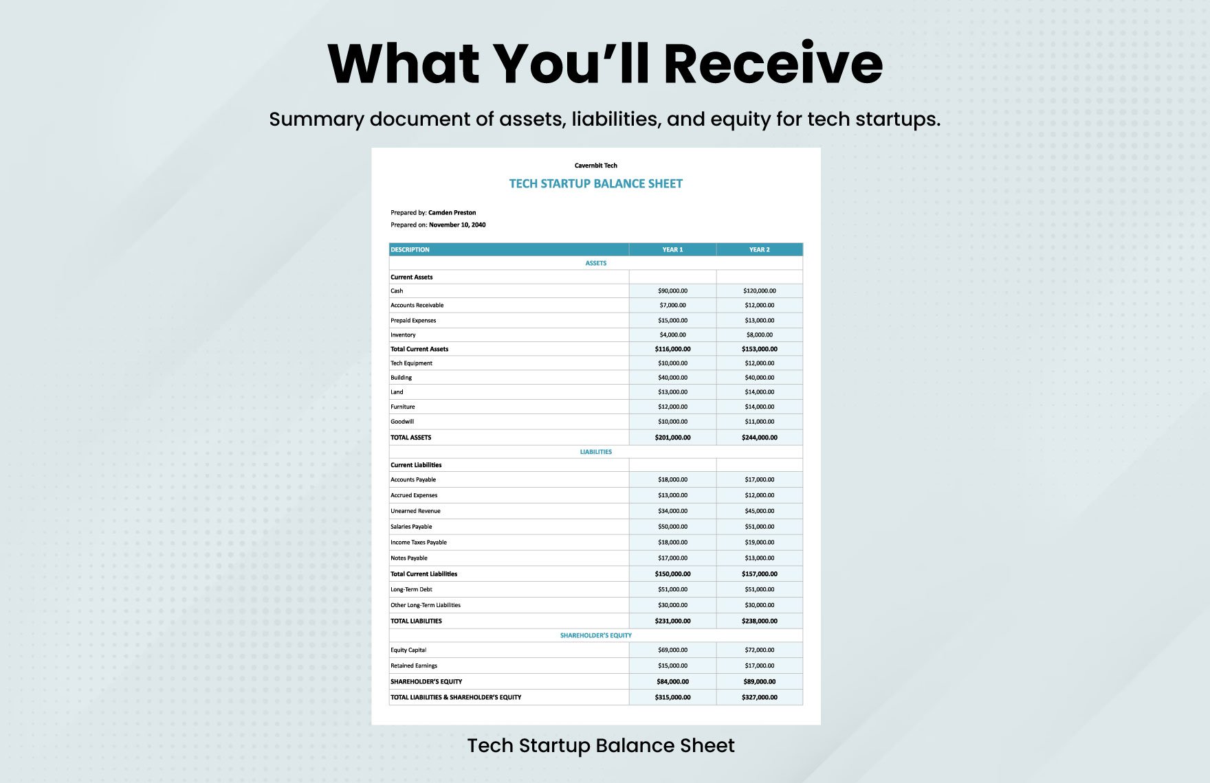 Tech Startup Balance Sheet Template